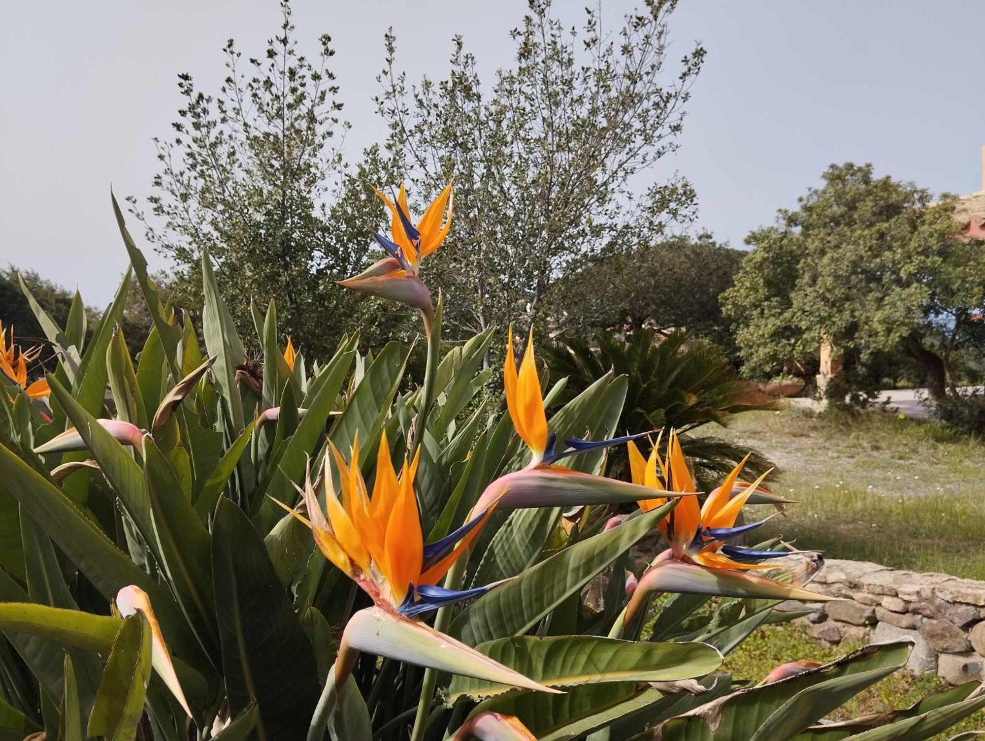 Holiday Home Riccio Di Mare Sardinia Marongiu Экстерьер фото